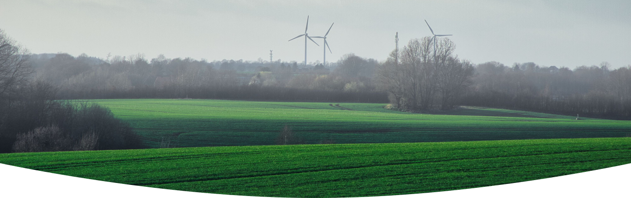 a green field