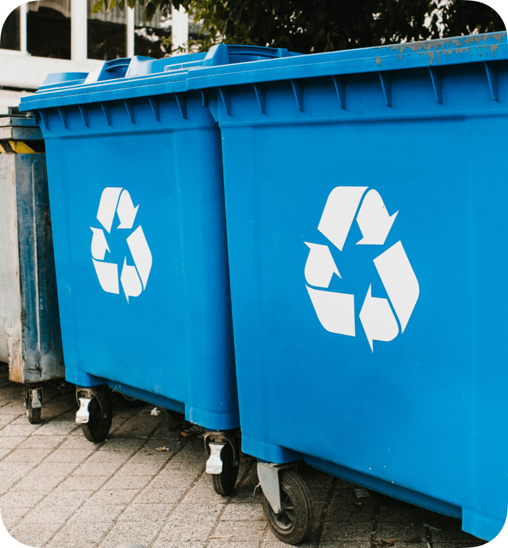 blue wheelie bins