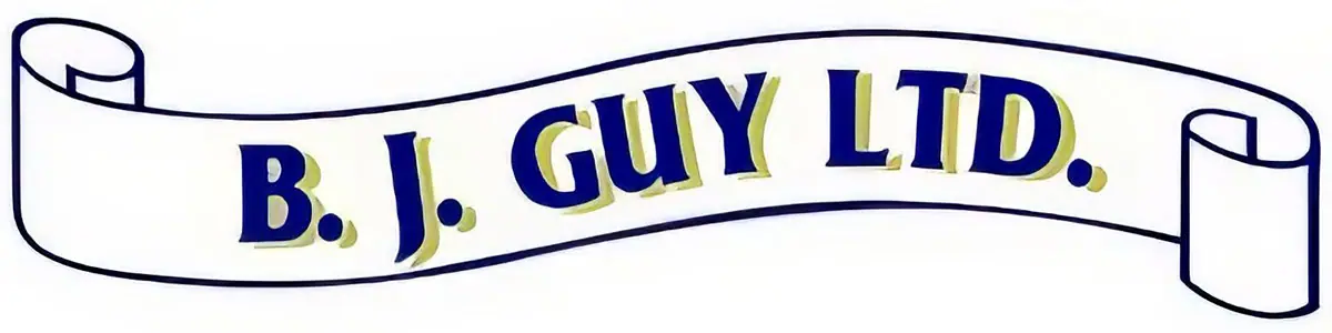 http://bj%20guy%20logo